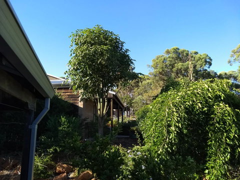 Hotham Ridge Estate - Tourism Noosa 5