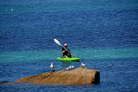 Sandpiper Retreat - Tourism Noosa 29