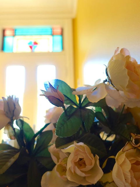 The Blacksmiths Cottage - Tourism Noosa 16