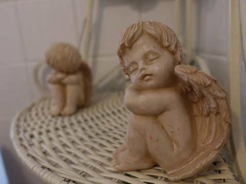 The Blacksmiths Cottage - Tourism Noosa 27