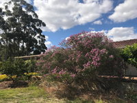 Book Cockburn Central Accommodation Vacations Tourism Noosa Tourism Noosa