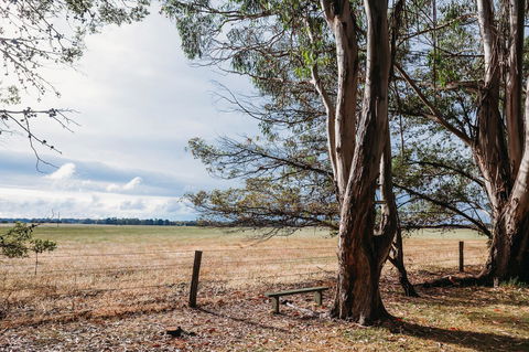 Margaret River Holiday Cottages - Tourism Noosa 22