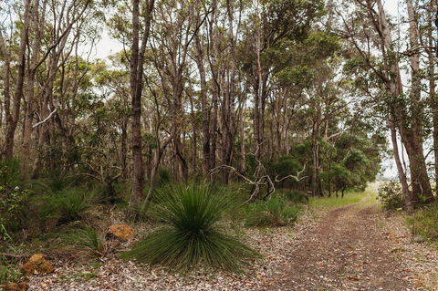 Margaret River Holiday Cottages - Tourism Noosa 31