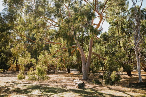 Margaret River Holiday Cottages - Tourism Noosa 16