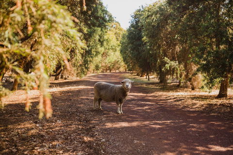 Margaret River Holiday Cottages - Tourism Noosa 21