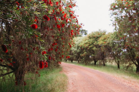 Margaret River Holiday Cottages - Tourism Noosa 17