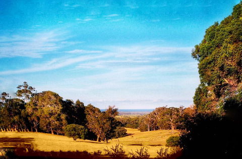 For The Birds Yallingup - Tourism Noosa 27