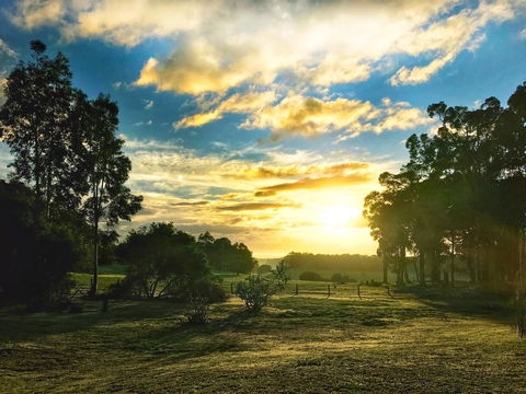 For The Birds Yallingup - Tourism Noosa 23