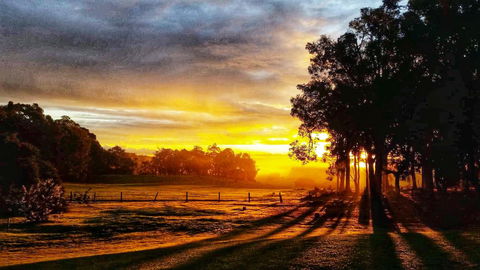For The Birds Yallingup - Tourism Noosa 26