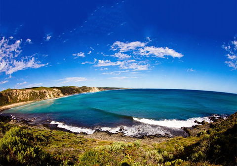 For The Birds Yallingup - Tourism Noosa 31