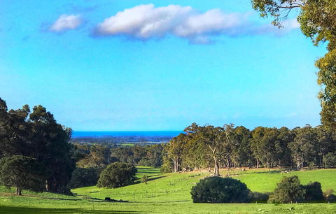 For The Birds Yallingup - Tourism Noosa 2