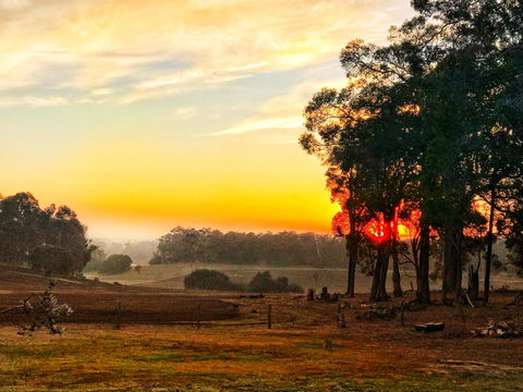 For The Birds Yallingup - Tourism Noosa 24