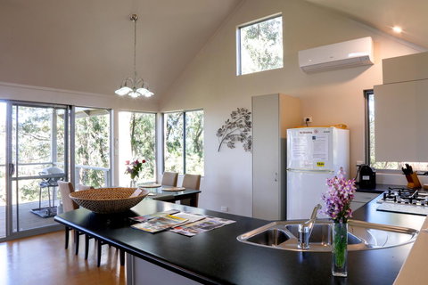 Pelicans At Denmark - Tourism Noosa 1