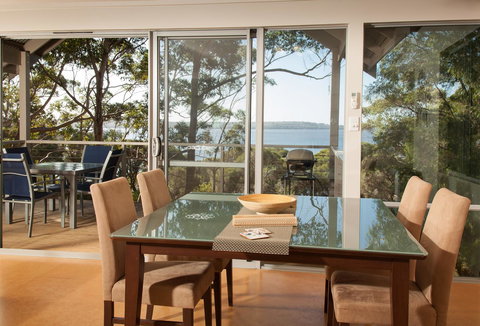 Pelicans At Denmark - Tourism Noosa 9