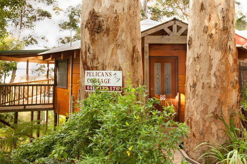 Pelicans At Denmark - Tourism Noosa 7