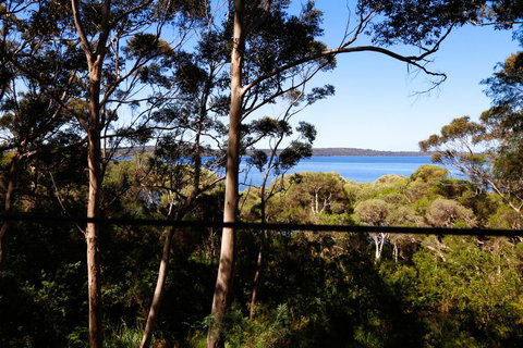 Pelicans At Denmark - Tourism Noosa 3