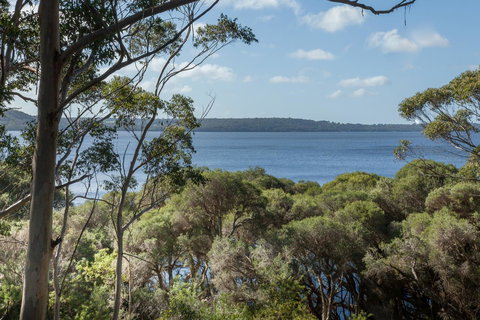 Pelicans At Denmark - Tourism Noosa 8