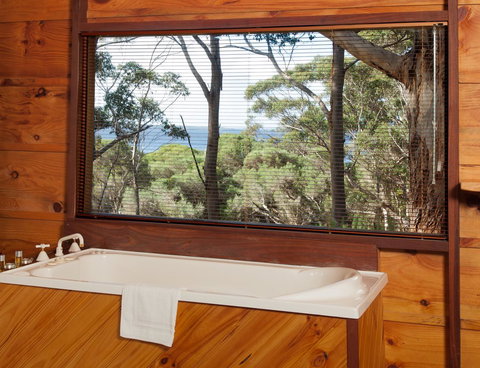 Pelicans At Denmark - Tourism Noosa 10