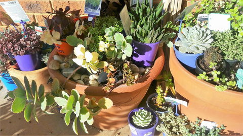 Quest Yelverton Kalgoorlie - Tourism Noosa 11