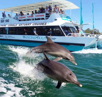 Belvedere Caravan Park - Tourism Noosa