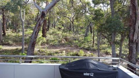 Cape Villas - Tourism Noosa 5