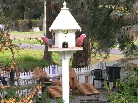 Applegate Lane Chalet - Tourism Noosa 25