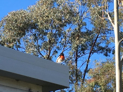 Applegate Lane Chalet - Tourism Noosa 27