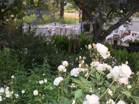 Applegate Lane Chalet - Tourism Noosa 22