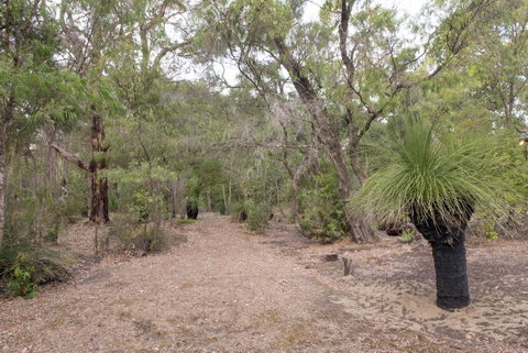 53 Martina Drive - Tourism Noosa 30