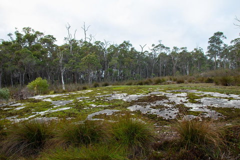 Denmark Forest Retreat - Tourism Noosa 26