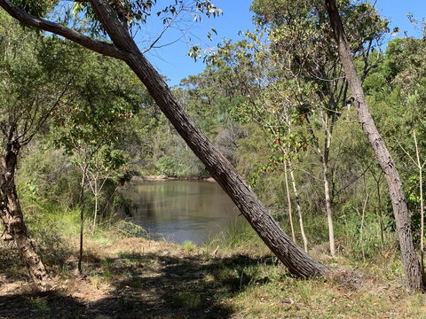 Denmark Forest Retreat - Tourism Noosa 32