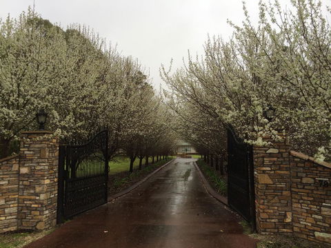 Nivalis Bed And Breakfast - Tourism Noosa 25