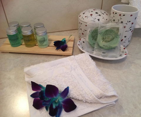 Nivalis Bed And Breakfast - Tourism Noosa 28