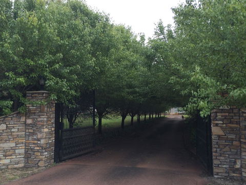 Nivalis Bed And Breakfast - Tourism Noosa 34