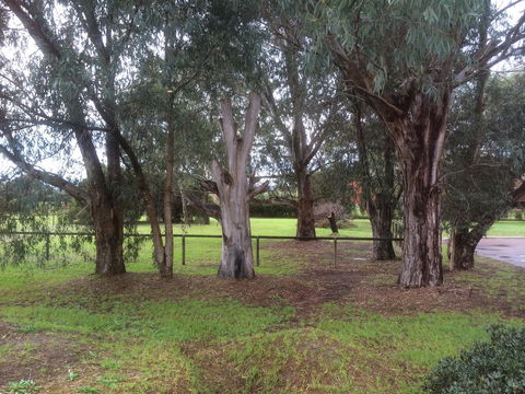 Nivalis Bed And Breakfast - Tourism Noosa 29