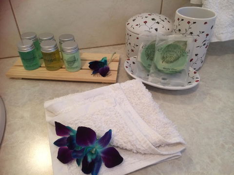 Nivalis Bed And Breakfast - Tourism Noosa 15