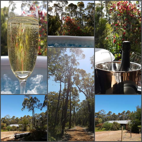 Jarrah Grove Forest Retreat - Tourism Noosa 27