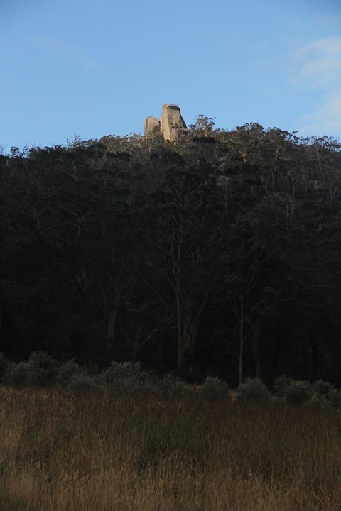 Tanen Farm - Tourism Noosa 9