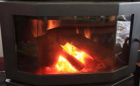 Tanen Farm - Tourism Noosa 4