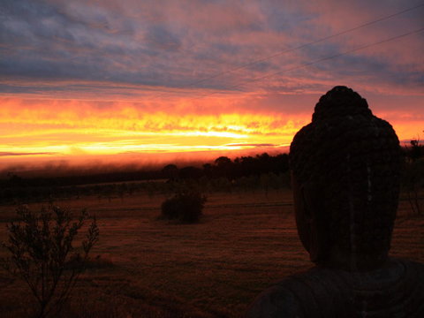 Tanen Farm - Tourism Noosa 12