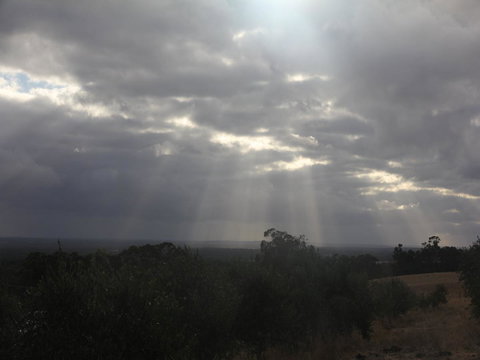 Tanen Farm - Tourism Noosa 13