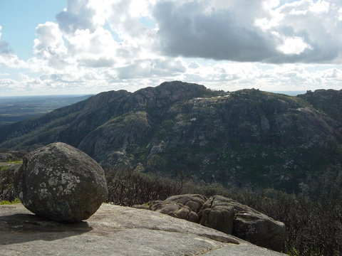 Tanen Farm - Tourism Noosa 8