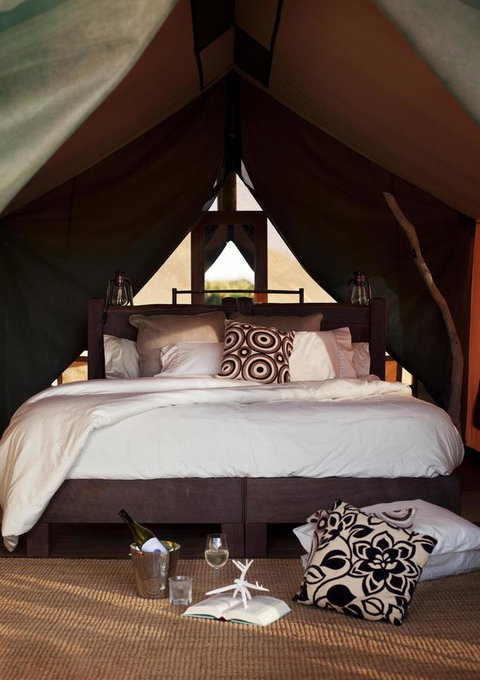 Sal Salis Ningaloo Reef - Tourism Noosa 31