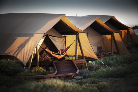 Sal Salis Ningaloo Reef - Tourism Noosa 23