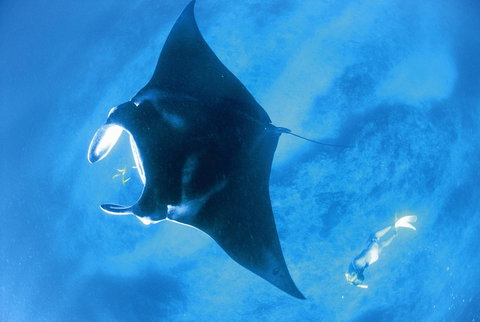 Sal Salis Ningaloo Reef - Tourism Noosa 28