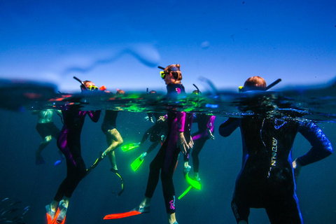 Sal Salis Ningaloo Reef - Tourism Noosa 26