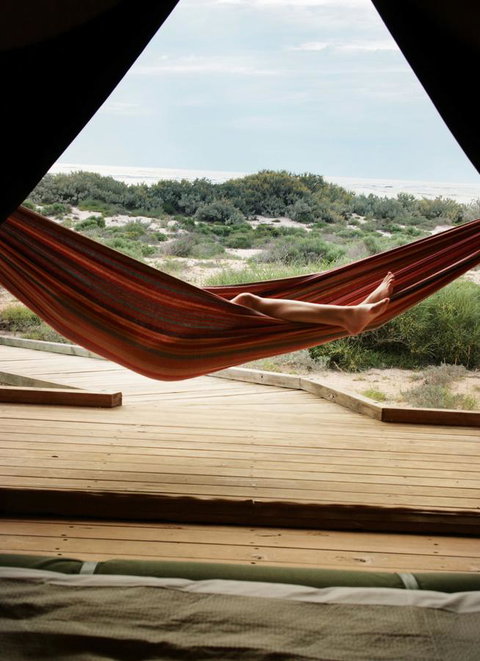 Sal Salis Ningaloo Reef - Tourism Noosa 35