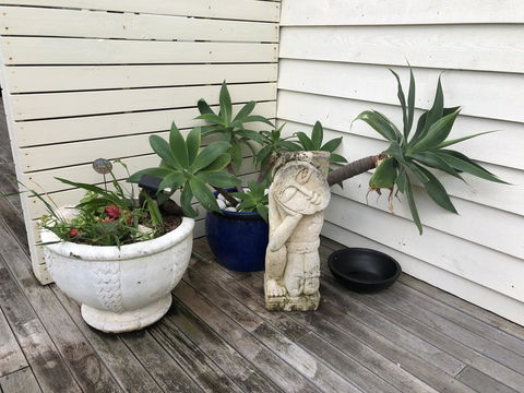 Orion Studio With Ocean Views - Tourism Noosa 19