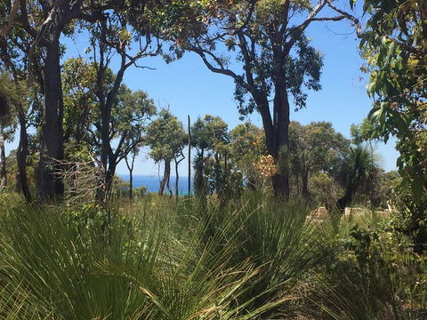 Eagle Bay House - Tourism Noosa 13