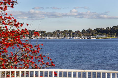 Como Executive Apartment - Tourism Noosa 22